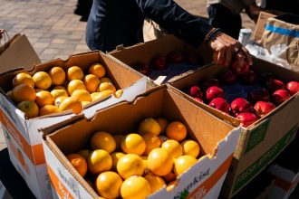 How to Help People Losing Their SNAP Benefits