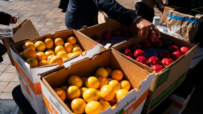 How to Help People Losing Their SNAP Benefits How to Help People Losing Their SNAP Benefits