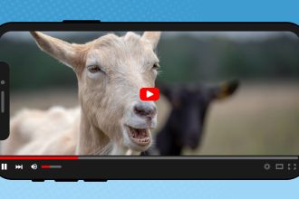 25 School-Appropriate Funny Videos for Kids