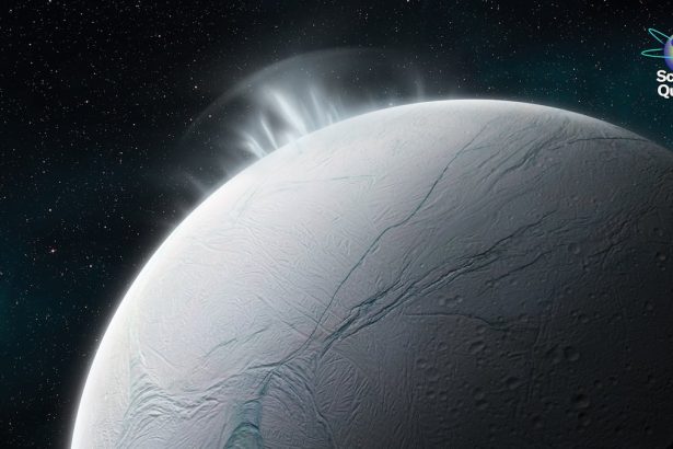 Scientists Develop Flu Test That Produces Herbal Flavor When Virus Is Present