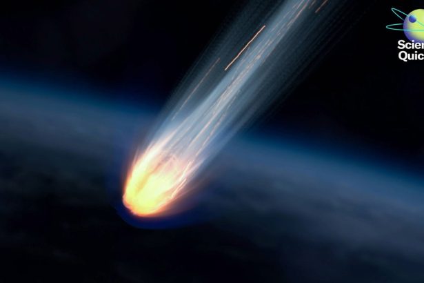 How a Cosmic Treasure in the Somali Desert Became a Global Controversy