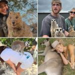 Wildin' Out Celebs With Exotic Animals for World Animal Day!