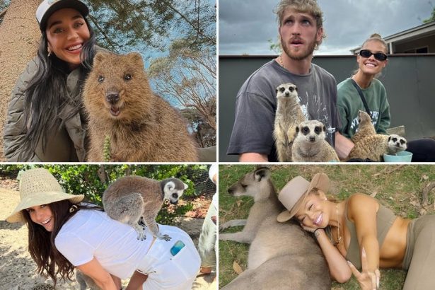 Wildin' Out Celebs With Exotic Animals for World Animal Day!