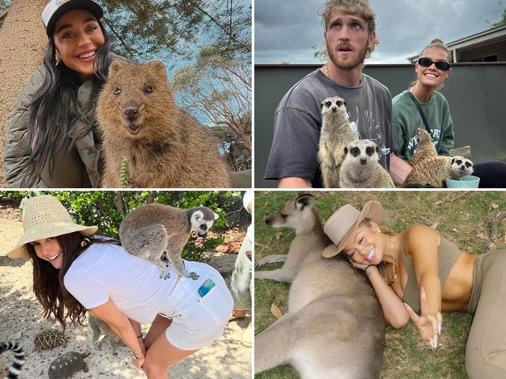 Wildin' Out Celebs With Exotic Animals for World Animal Day!