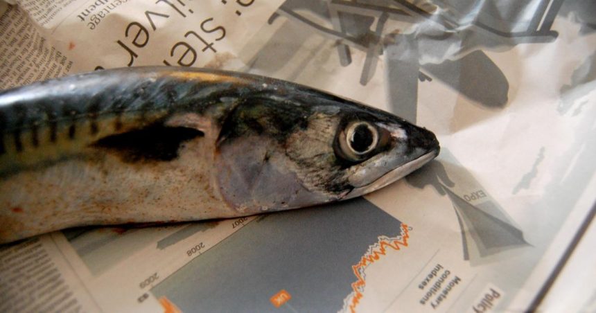 Mackerel 'at very real risk of collapse'