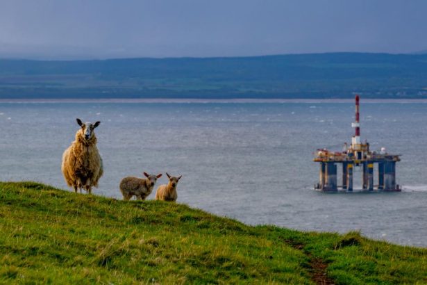 A trillion dollar climate risk