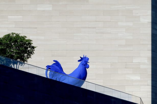 National Gallery of Art Closes Amid Government Shutdown