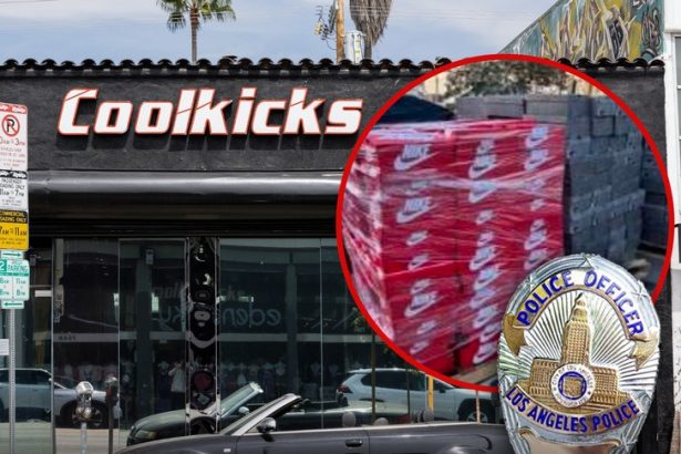 CoolKicks L.A. Raid Recovers 0K in Alleged Stolen Nike Items, LAPD Reports