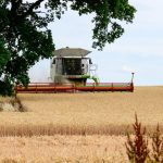 Droughtflation 'is eroding resilience'
