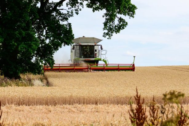 Droughtflation 'is eroding resilience'