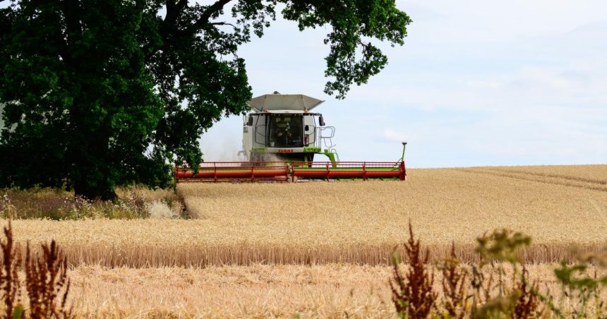 Droughtflation 'is eroding resilience'