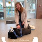 Lost dog found 2,000 miles away from home after running away during a storm