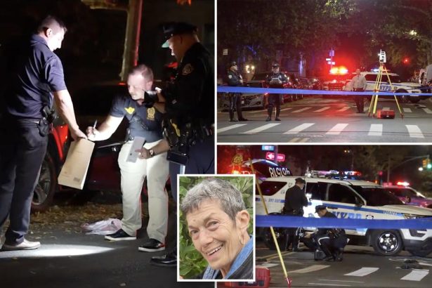 Driver fatally plows into granny, 75, crossing street in NYC, leaves her to die: cops