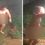 Florida Man Caught on Camera in Alleged Naked Neighborhood Burglary Spree