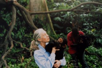 Celebrated Conservationist and Chimpanzee Expert Jane Goodall Is Dead at 91