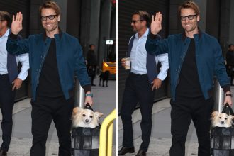 Glen Powell — What's The Big Frigin' Difference?!