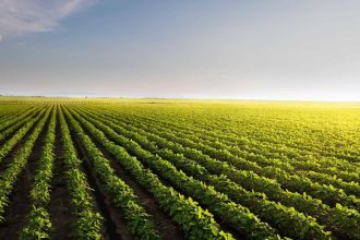 Soybean Traders Battle at the  Mark on Wednesday