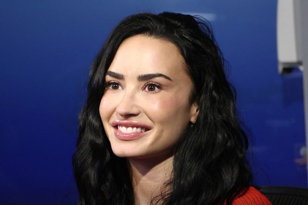 Demi Lovato's Team Eyeing Possible Tour After Fans Crash L.A. Show Queue