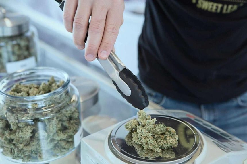 As Trump Promotes CBD, Should You Buy, Sell, or Hold Canopy Growth Stock?