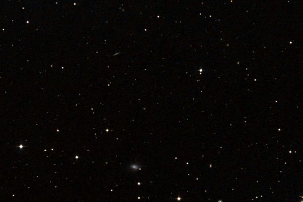 A tiny nearby galaxy is home to a shockingly enormous black hole