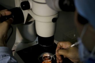 STAT+: Trumps IVF deal spurs hopes — and adjustments — across fertility sector