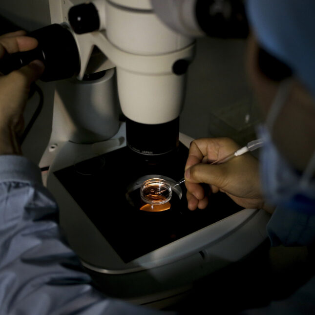 STAT+: Trumps IVF deal spurs hopes — and adjustments — across fertility sector STAT+: Trumps IVF deal spurs hopes — and adjustments — across fertility sector