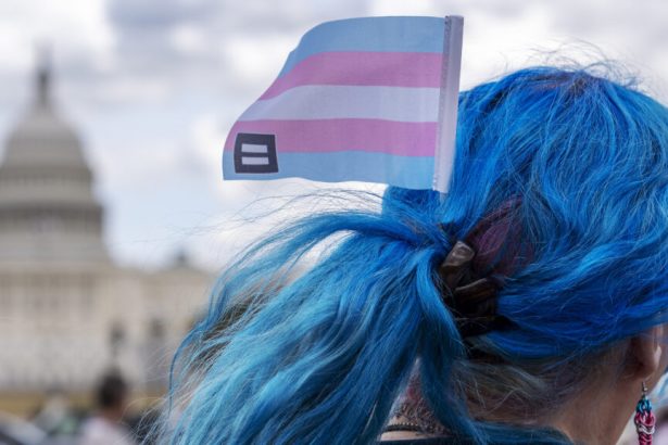 How this week’s Supreme Court case on conversion therapy could impact the regulation of medicine