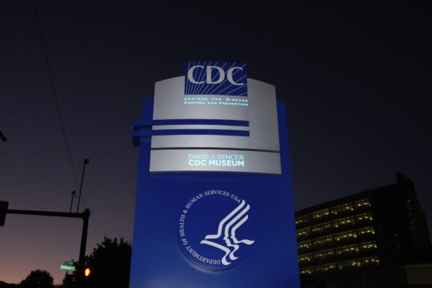 CDC team running top survey on health and nutrition is laid off