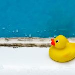 Home Remedies: Removing Mold