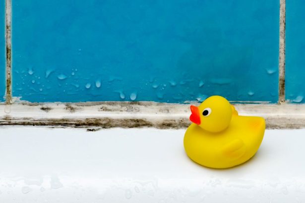 Home Remedies: Removing Mold