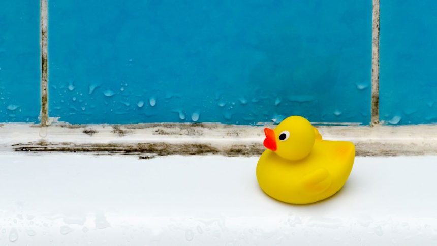 Home Remedies: Removing Mold