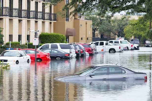Guest Opinion: Turning the Tide—How Land and Water Shape Our Climate Future