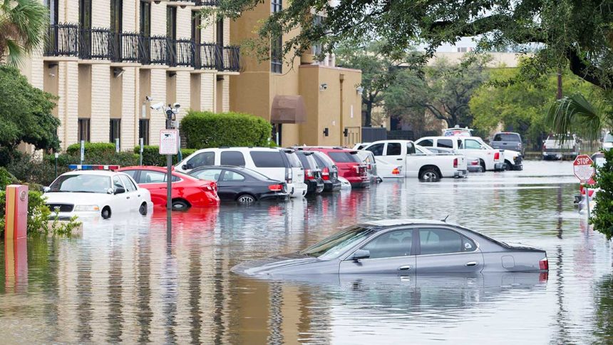 Guest Opinion: Turning the Tide—How Land and Water Shape Our Climate Future