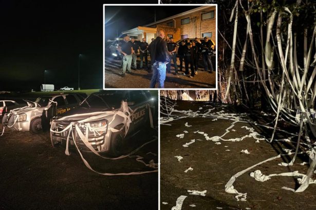 Alabama Heflin Police department get revenge on high school seniors who covered headquarters with toilet paper
