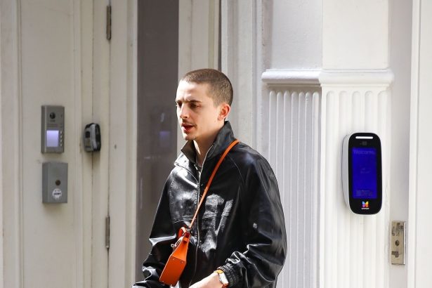 Timothée Chalamet Rocks a Mini Purse in New York