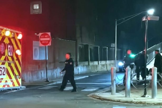 Man stabbed after confronting bike tire thief on Bloomingdale Trail – CWB Chicago