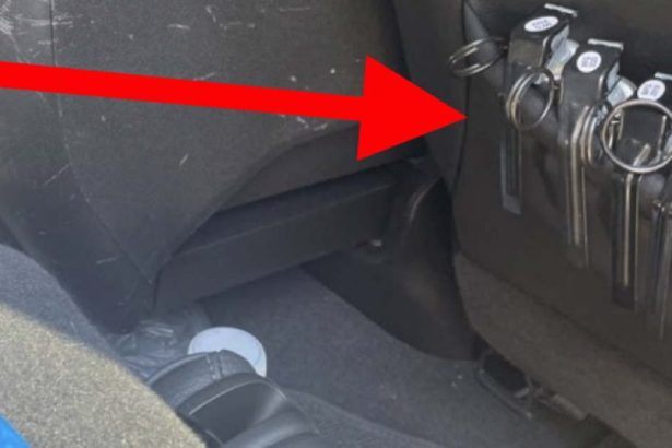 Handcuffed arrestee tried to set off Border Patrol’s tear gas supply with his feet: prosecutors – CWB Chicago