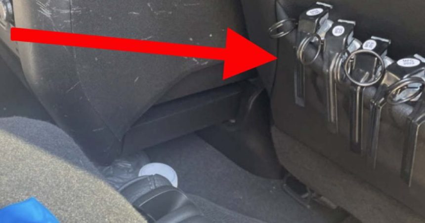 Handcuffed arrestee tried to set off Border Patrol’s tear gas supply with his feet: prosecutors – CWB Chicago