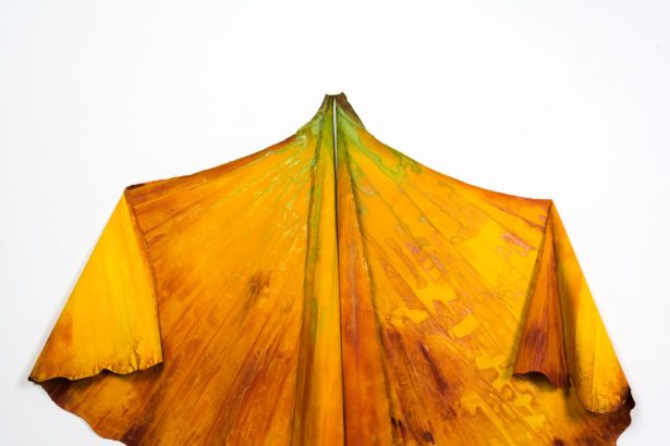 10 Art Shows to See in Los Angeles This October