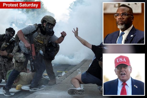 White House blasts ‘SICK’ Chicago Mayor Brandon Johnson for creating ‘ICE Free Zones’ banning agents