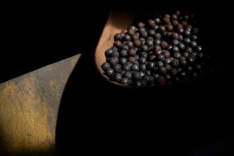 Canada launches C.4bn minerals push as race to counter China heats up