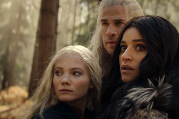 Ciri Girlfriend, Vesemir Death, Final Season Plans