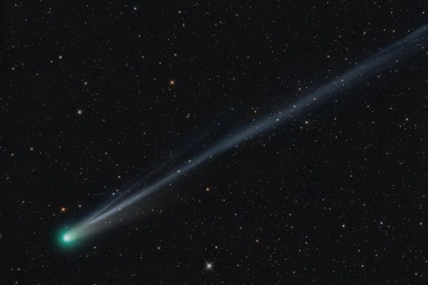 Look Up for a Rare Comet and Meteor Show