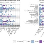 Common jobs held by immigrant women may put them at increased risk of breast cancer Common jobs held by immigrant women may put them at increased risk of breast cancer
