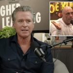 Gavin Newsom claims he’s ‘punching back’ at ‘son of a bitch’ Joe Rogan in vulgar plea to appear on his show: ‘Have me on’
