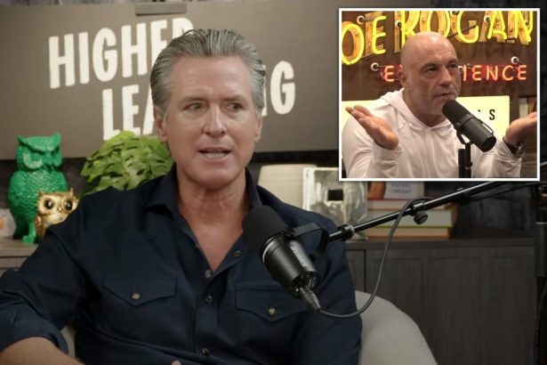 Gavin Newsom claims he’s ‘punching back’ at ‘son of a bitch’ Joe Rogan in vulgar plea to appear on his show: ‘Have me on’
