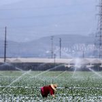 Ask a Scientist: How Do We Solve California’s Water Shortage Crisis?