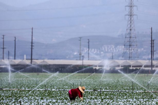 Ask a Scientist: How Do We Solve California’s Water Shortage Crisis?