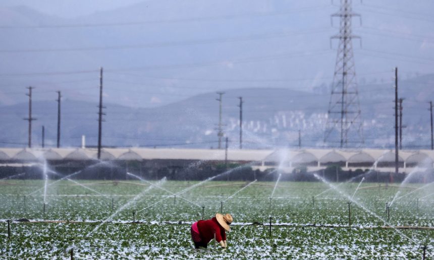 Ask a Scientist: How Do We Solve California’s Water Shortage Crisis?