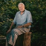 Sir David Attenborough Becomes New Oldest Daytime Emmys Winner Ever at 99, Beating Previous Record Holder Dick Van Dyke
